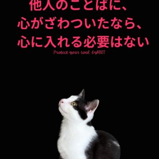 S01-001【魂に響く言霊CAT待受】