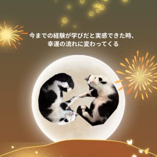 S01-006【魂に響く言霊CAT待受】