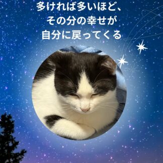 S01-008【魂に響く言霊CAT待受】
