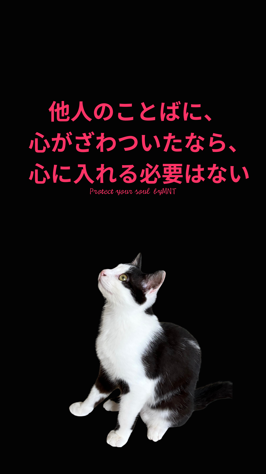 S01-001【魂に響く言霊CAT待受】