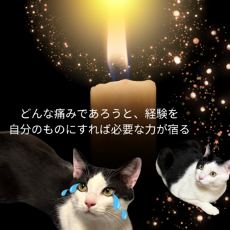 S01-011【魂に響く言霊CAT待受】