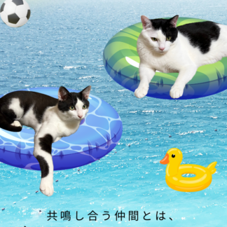 S01-014【魂に響く言霊CAT待受】