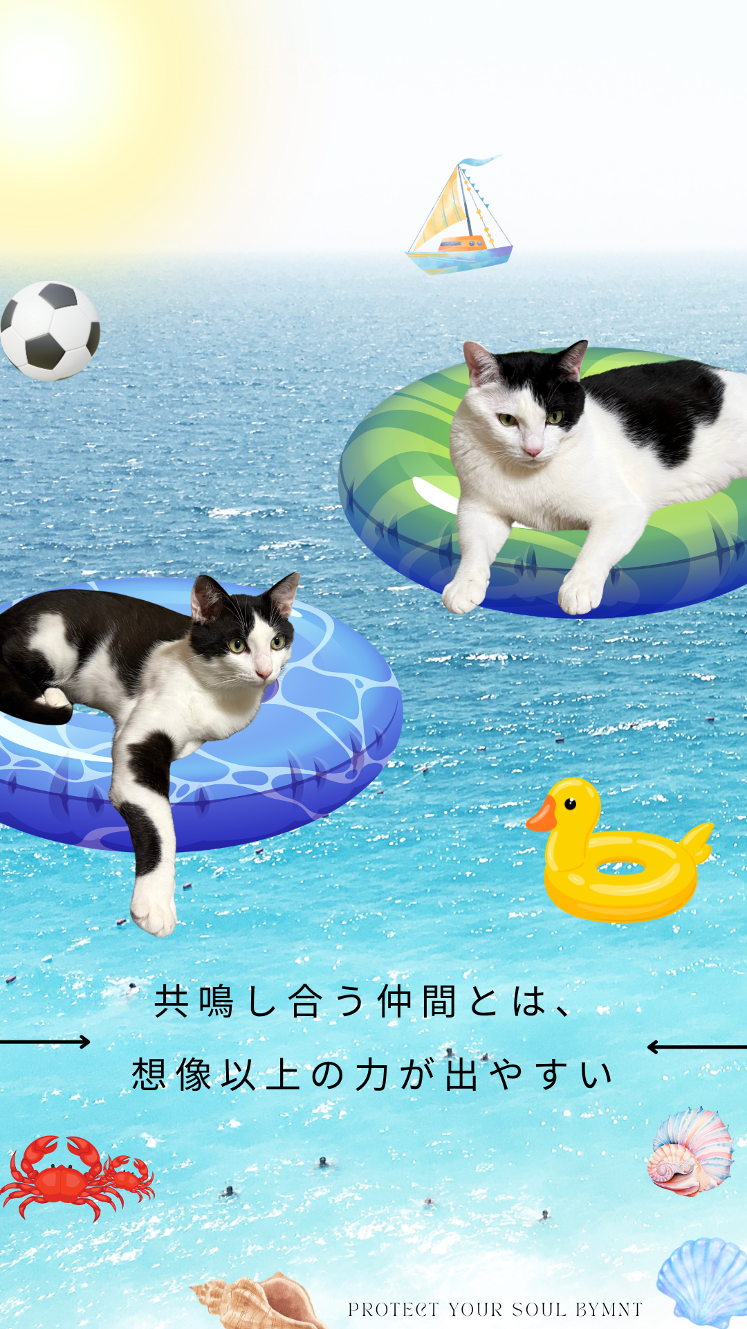 S01-014【魂に響く言霊CAT待受】