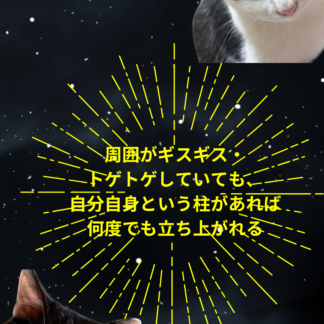 S01-015【魂に響く言霊CAT待受】
