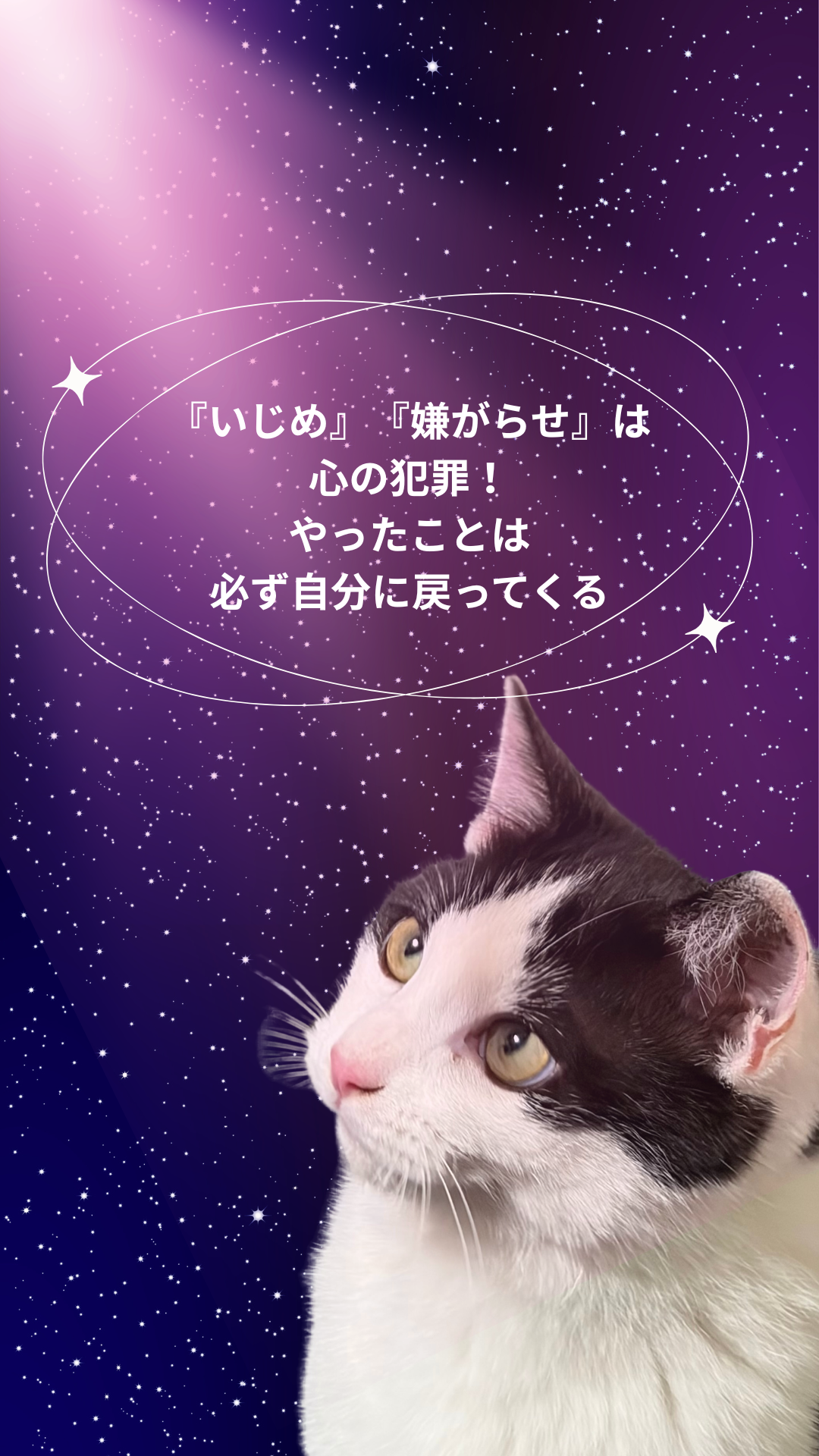 S01-017【魂に響く言霊CAT待受】