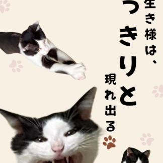 S01-019【魂に響く言霊CAT待受】
