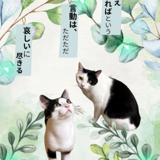 S01-025【魂に響く言霊CAT待受】