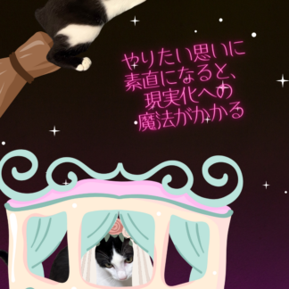 S01-027【魂に響く言霊CAT待受】
