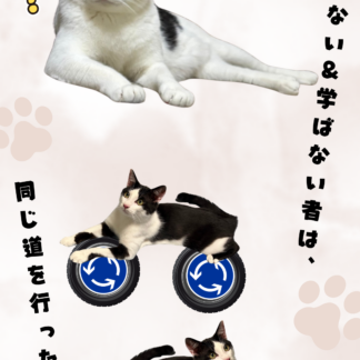 S01-029【魂に響く言霊CAT待受】