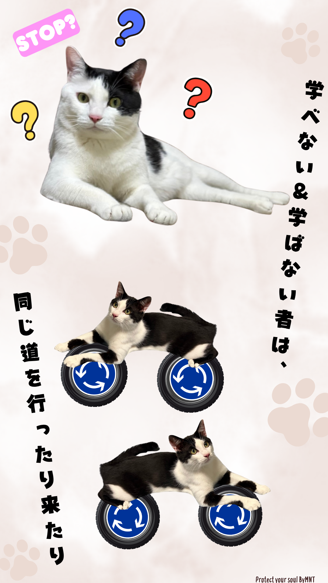 S01-029【魂に響く言霊CAT待受】
