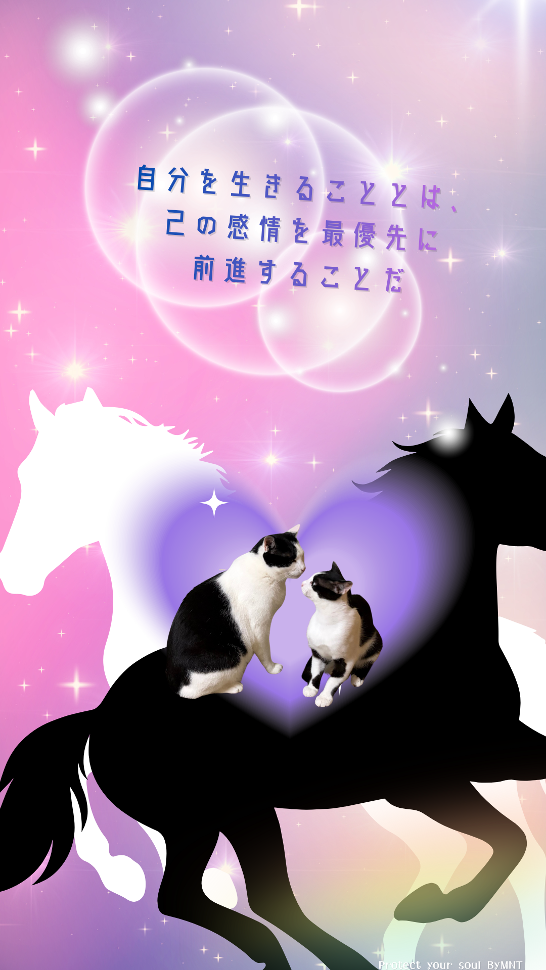 S01-030【魂に響く言霊CAT待受】