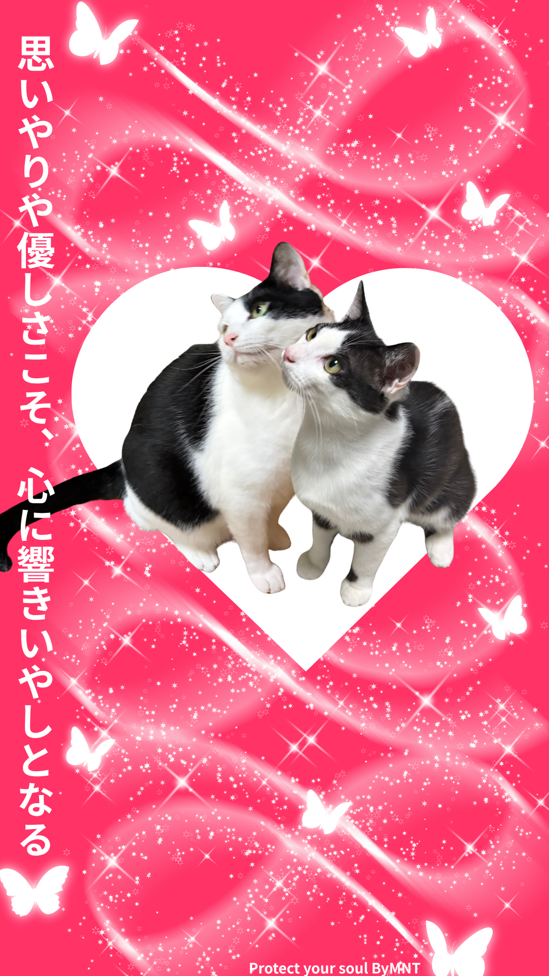 S01-037【魂に響く言霊CAT待受】