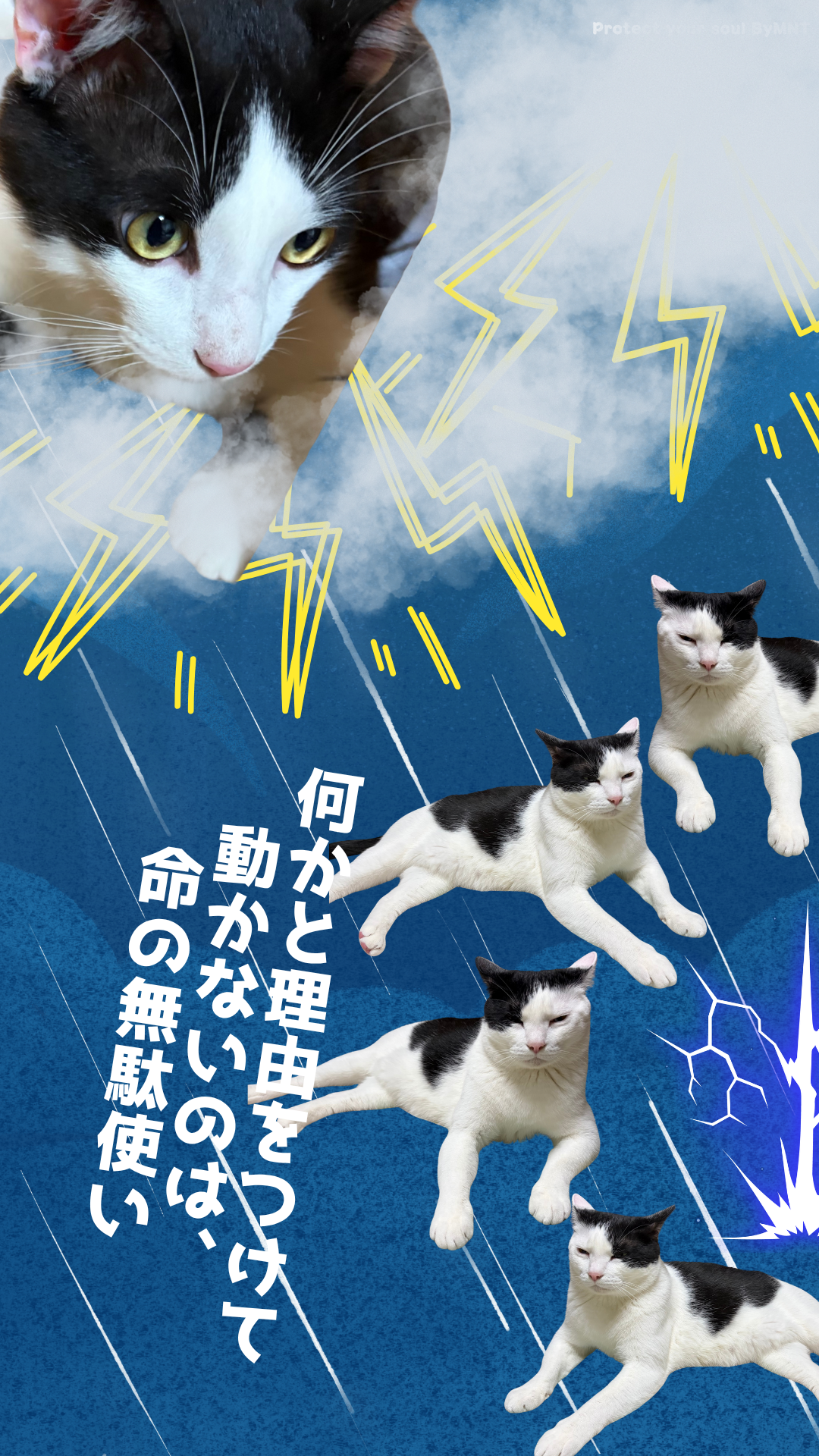 S01-051【魂に響く言霊CAT待受】